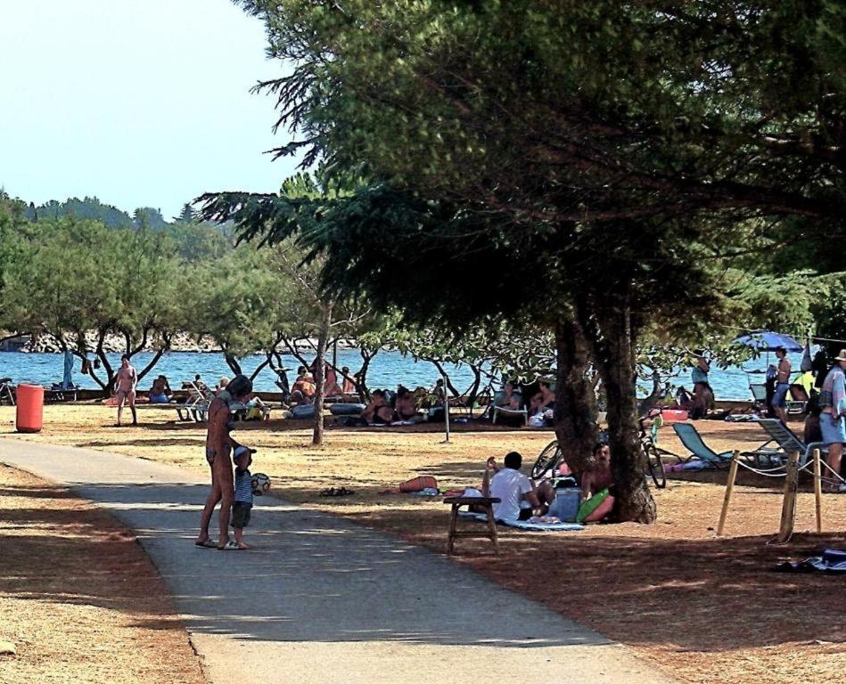 Apartman Ema Novigrad Istria Exterior foto